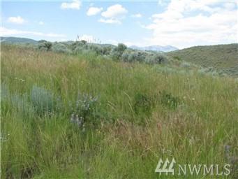 2-(Lot 2) Ellemeham Mtn Rd - Photo 1