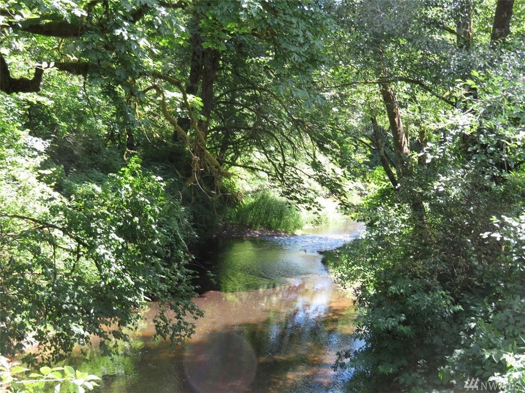 0-Lot 5 Brim Creek Rd - Photo 1
