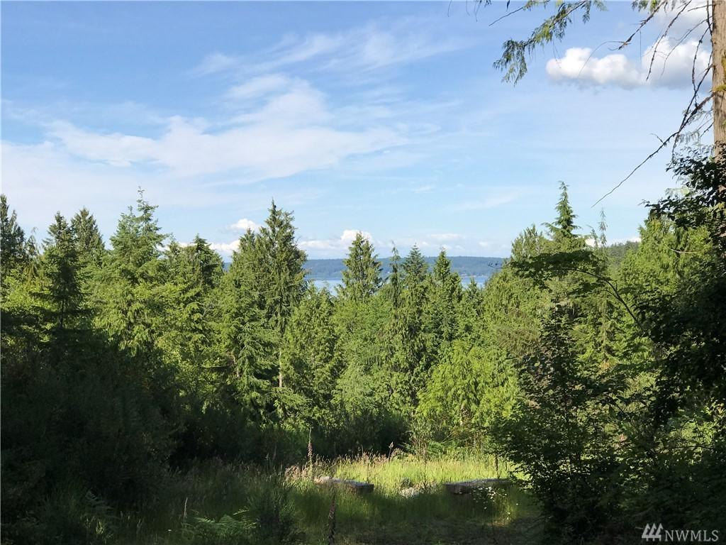 1-Lot 1 Seaview Dr - Photo 1