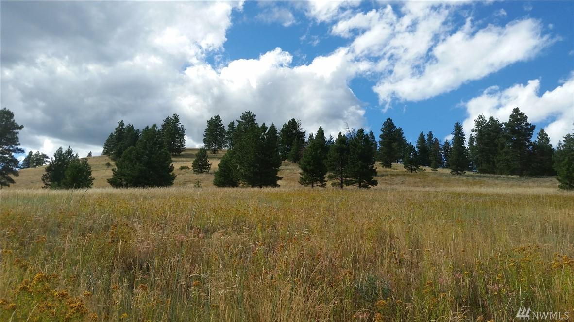 0 Mineral Hill Rd - Photo 1
