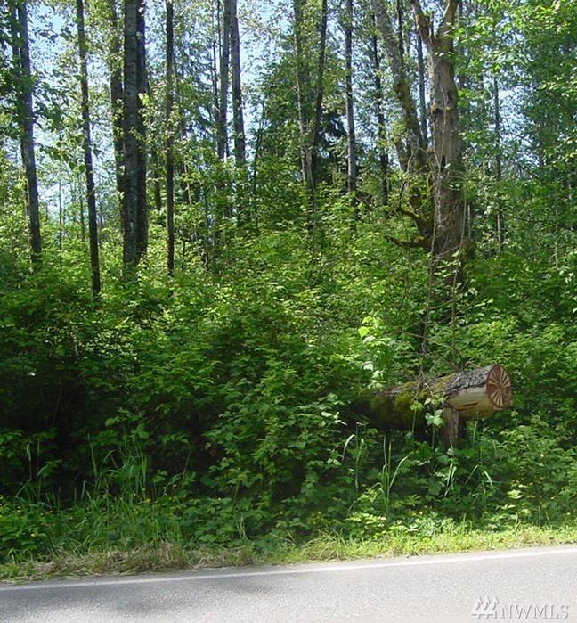 303-xxZ Big Rock Rd - Photo 1