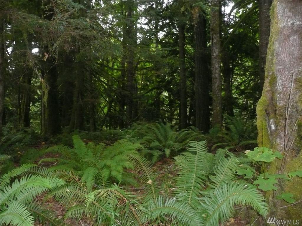 101 Ridge Ct - Photo 1