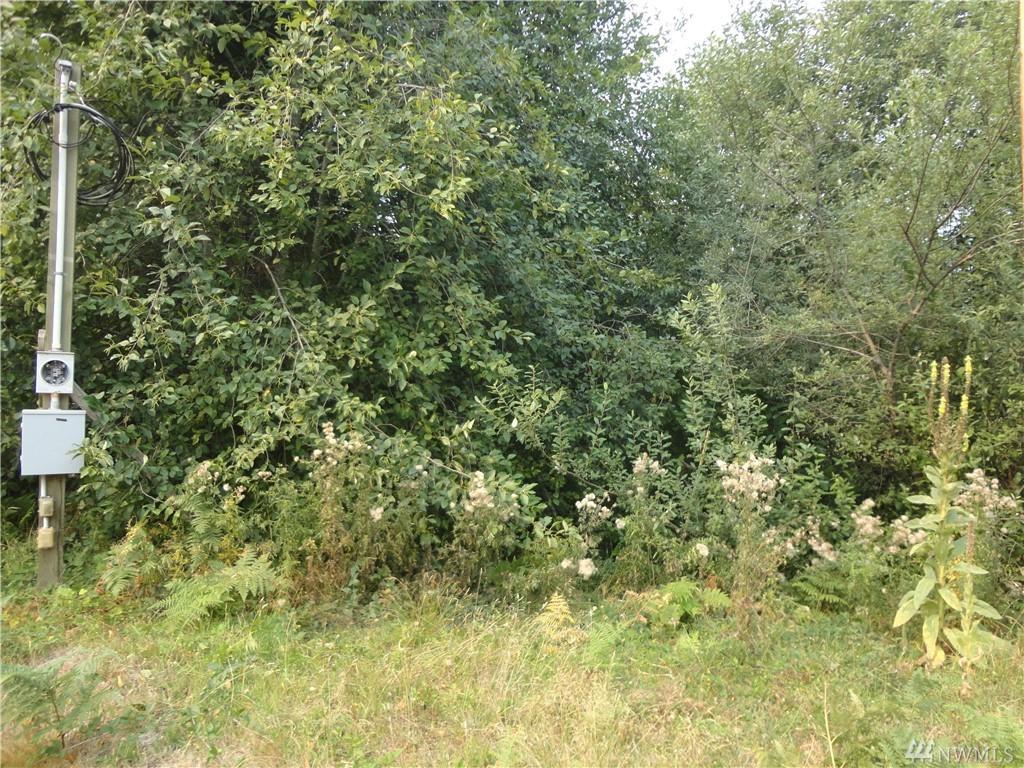 0-lot 29 Jack Fir Ct - Photo 1