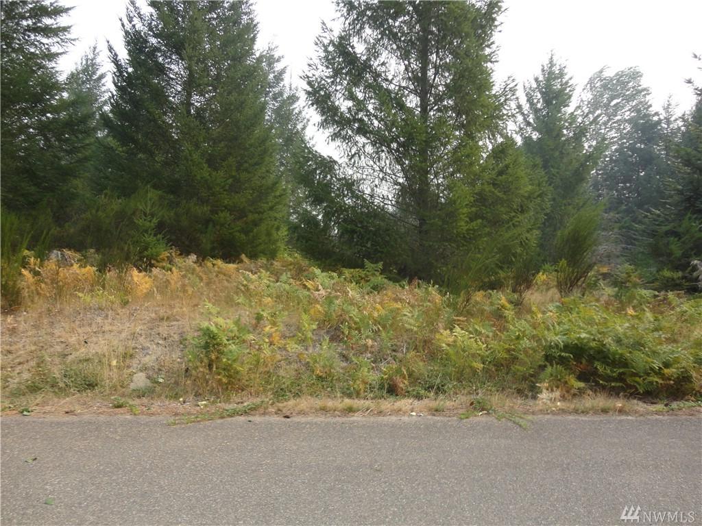 0-Lot 12 Cottonwood Lane - Photo 1