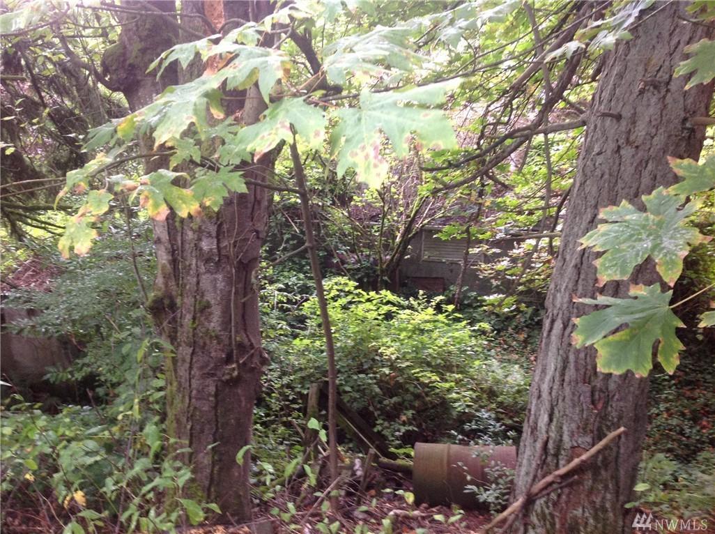 303 Woodland - Photo 1