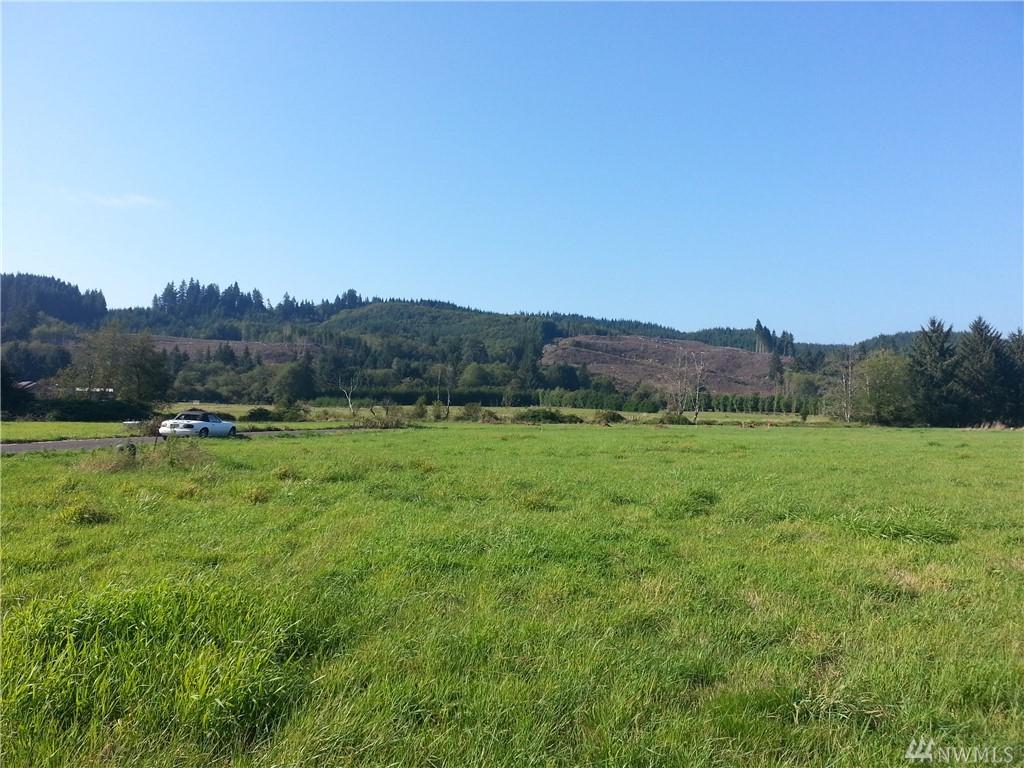 0-Lot 4 Nature Loop - Photo 1