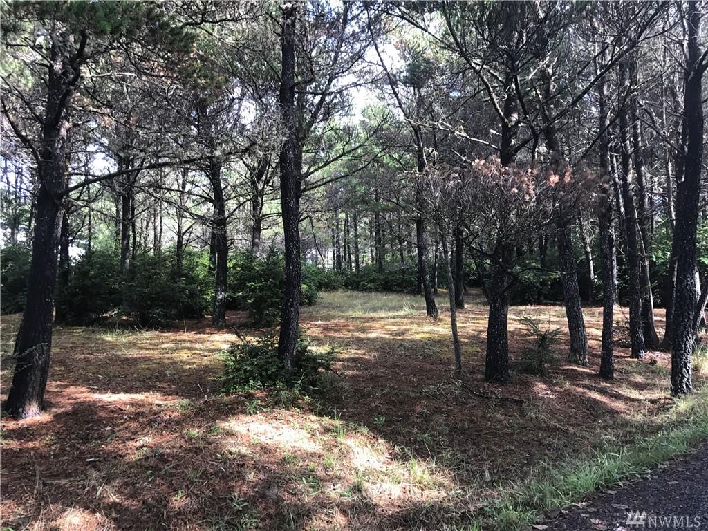 2 Cohasset Dunes Lane - Photo 1