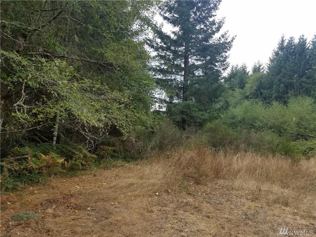 0-Lot 4 Olde Bell Rd - Photo 1