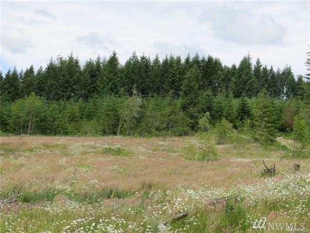 0-xxxx Lucas Creek Rd - Photo 1