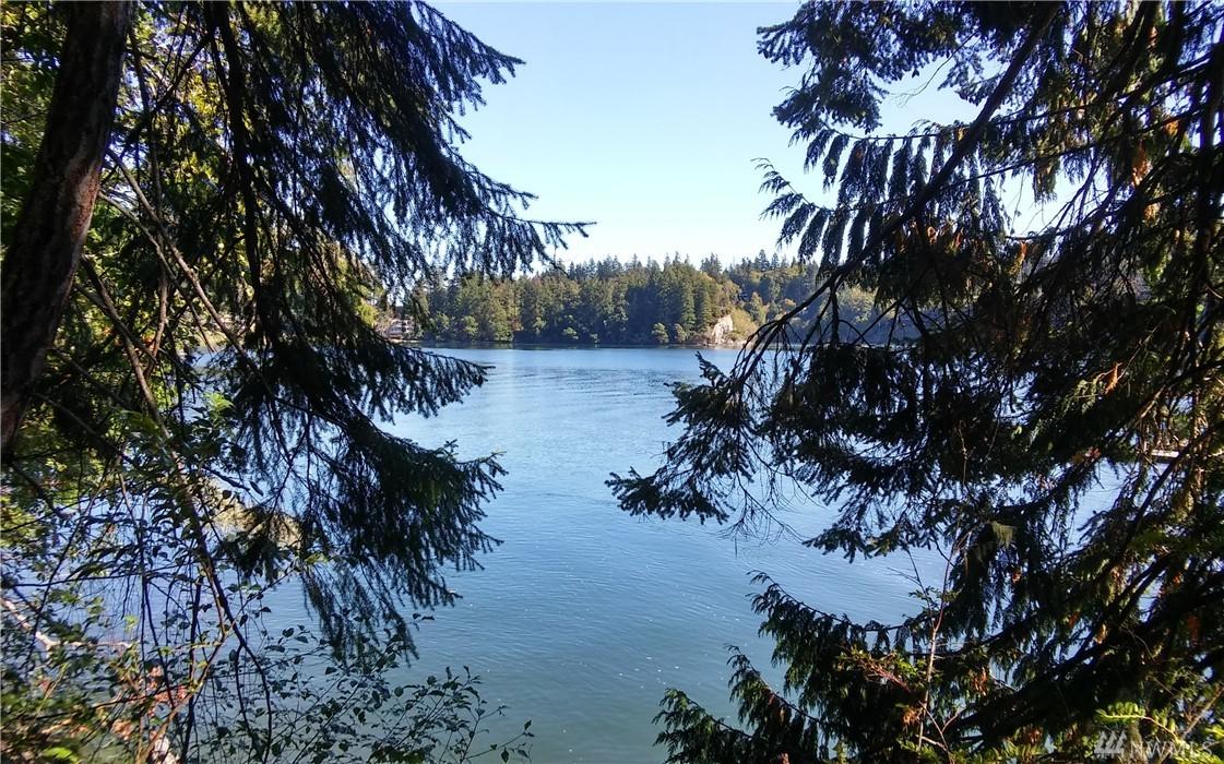 0 Big Skookum Rd - Photo 1