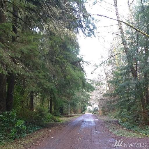 19 Willaview - Photo 1