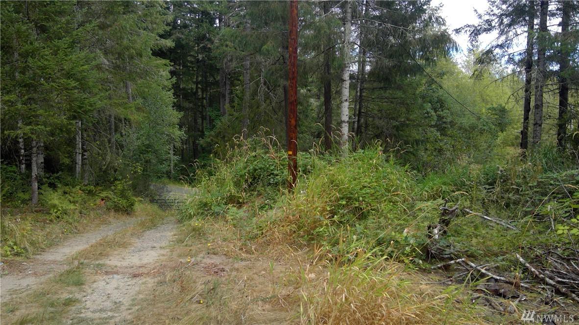 1 Pickering Rd - Photo 1