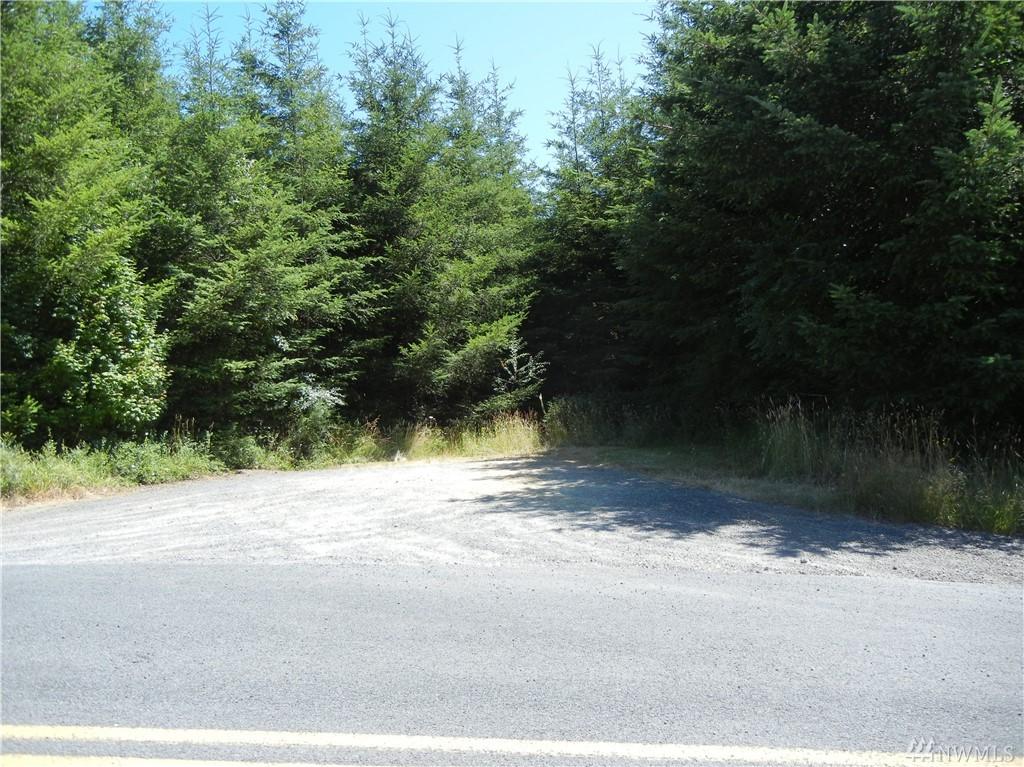 0 Little Kalama River Rd - Photo 1