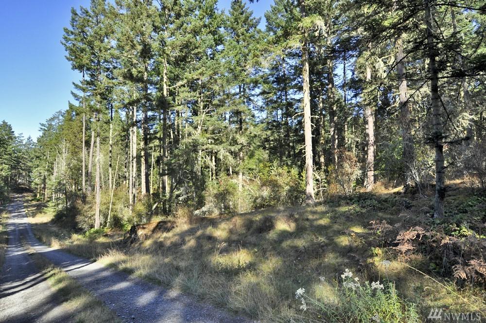 0-Lot H Little Mountain Rd - Photo 1