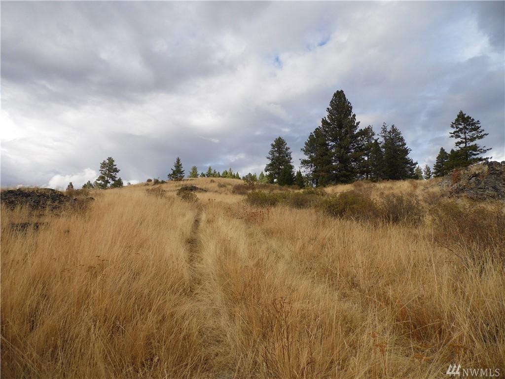 12345 Lambert Mountain Road - Photo 1