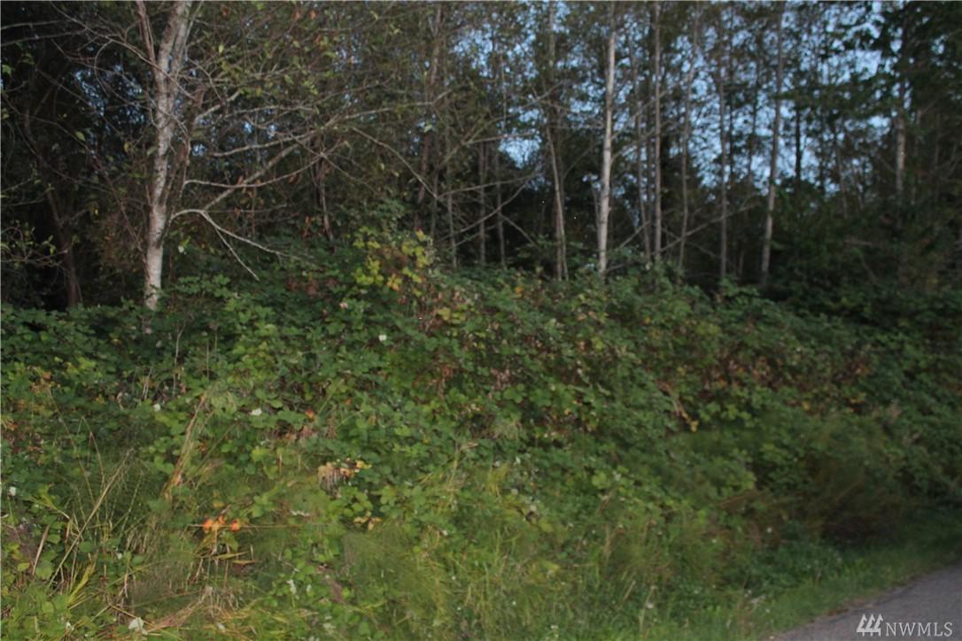 18921 98th - Photo 1