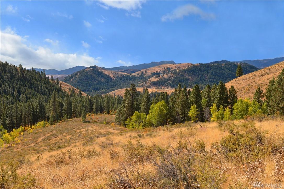 0 Cub Creek/Fs Rd 5200-025 - Photo 1