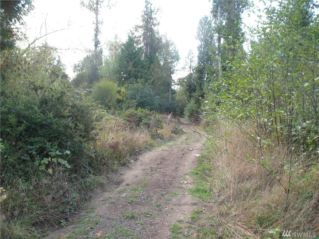 0 Orchid Lane - Photo 1