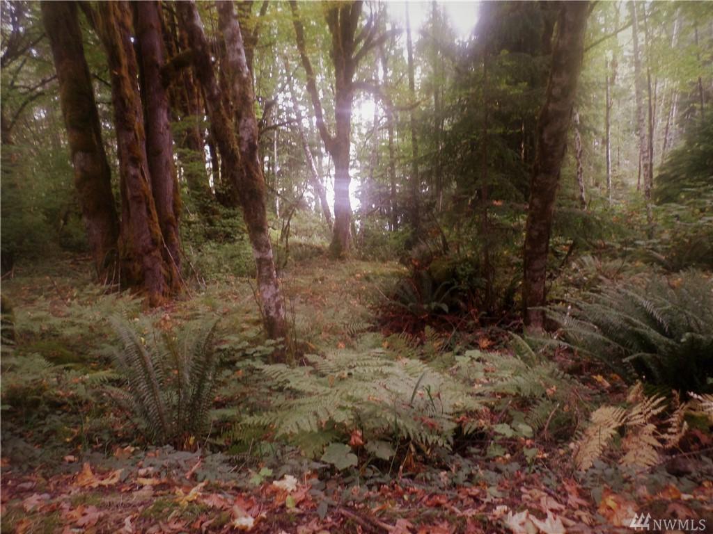 1950 Cushman Ridge Dr - Photo 1