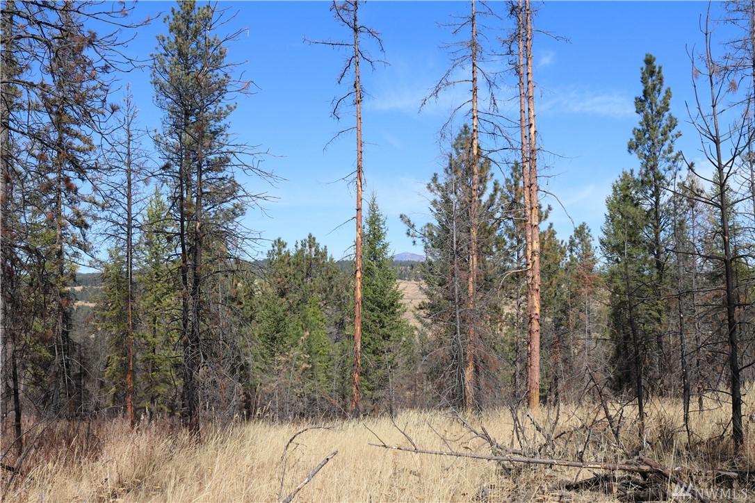 0 Nine Mile Rd - Photo 1