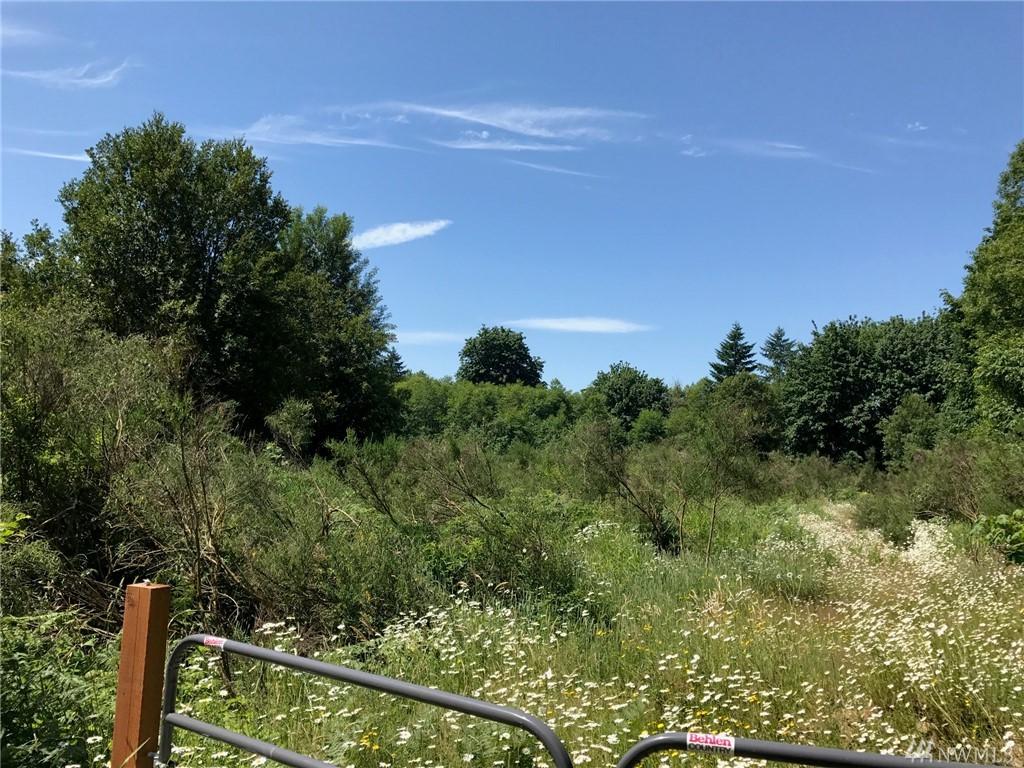 8615 Kimmie St - Photo 1