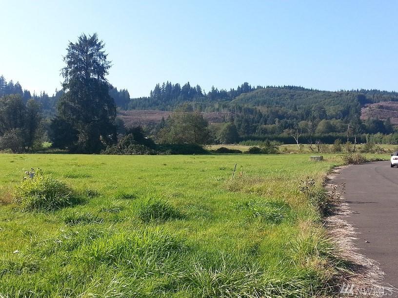 0-Lot 4&5 Nature Loop - Hidden Creek I - Photo 1
