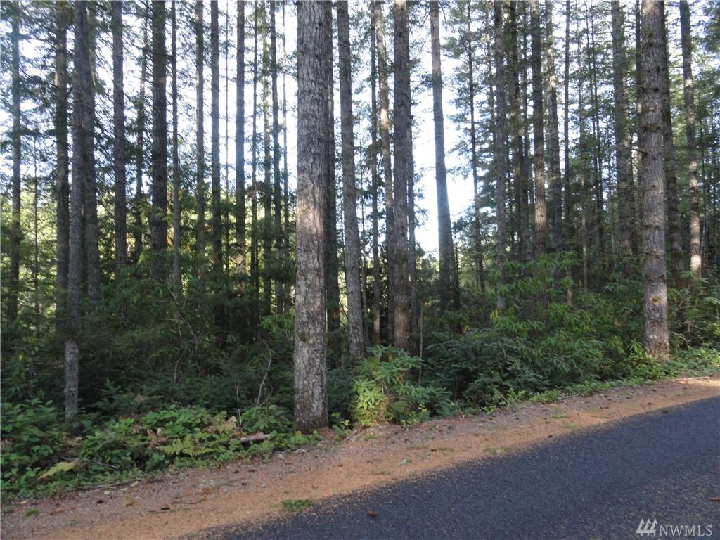 449 Lewis Rd - Photo 1