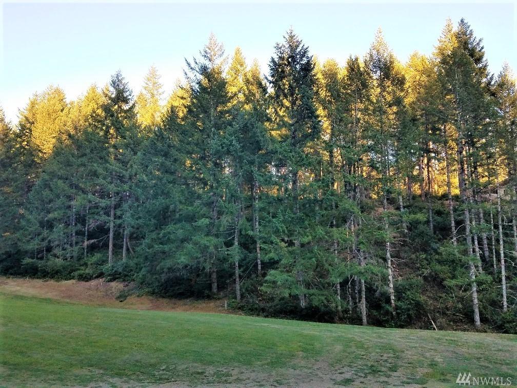 140 Rhododendron Lane - Photo 1