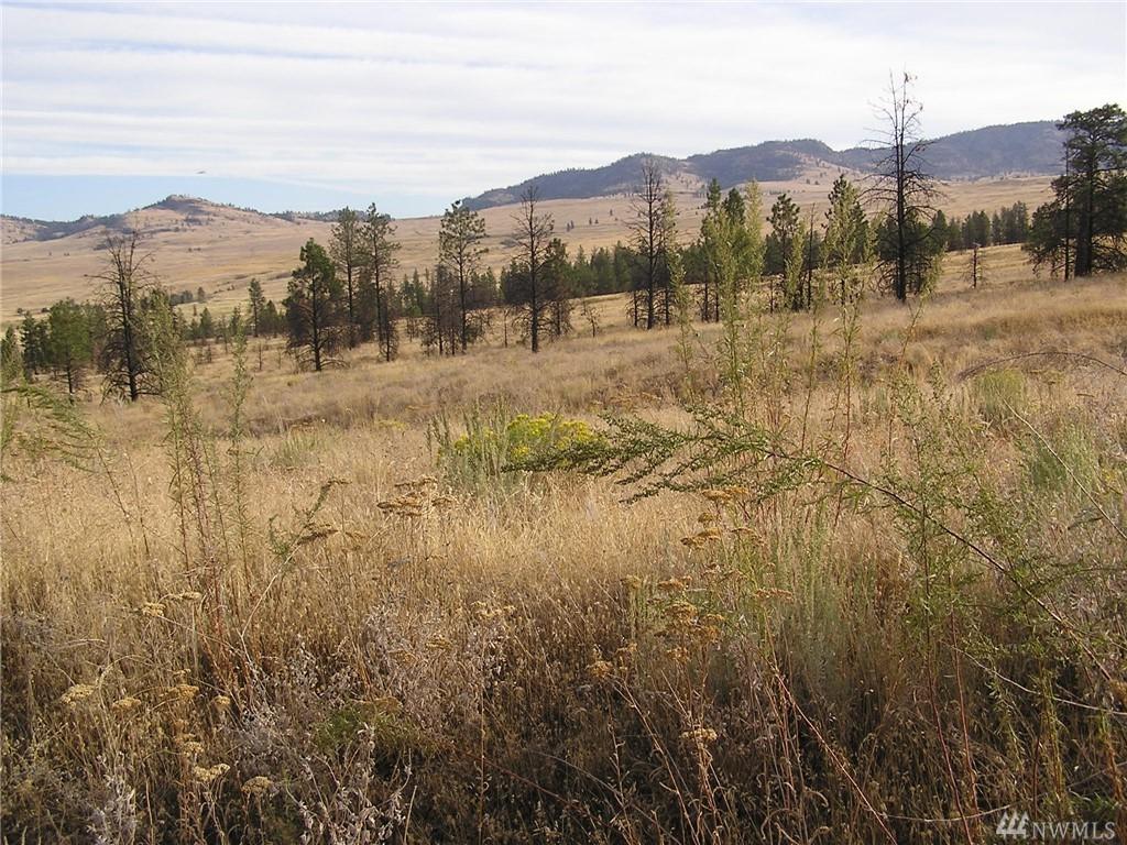 111-tbd Armitage Hill Rd - Photo 1