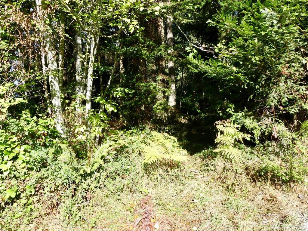 0 Brainers Rd - Photo 1