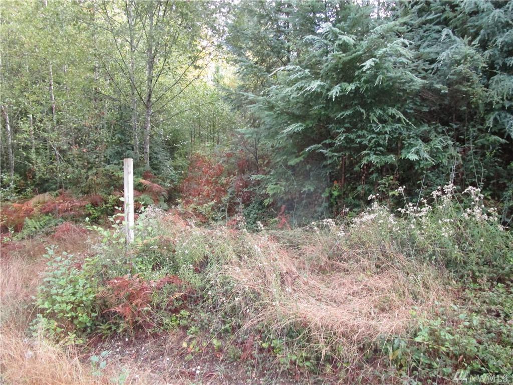 0 Tahuya Blacksmith Rd - Photo 1