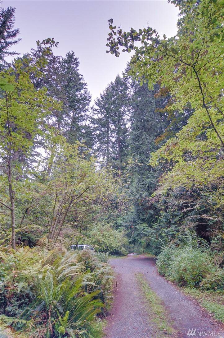 29234 Big Rock Rd - Photo 1