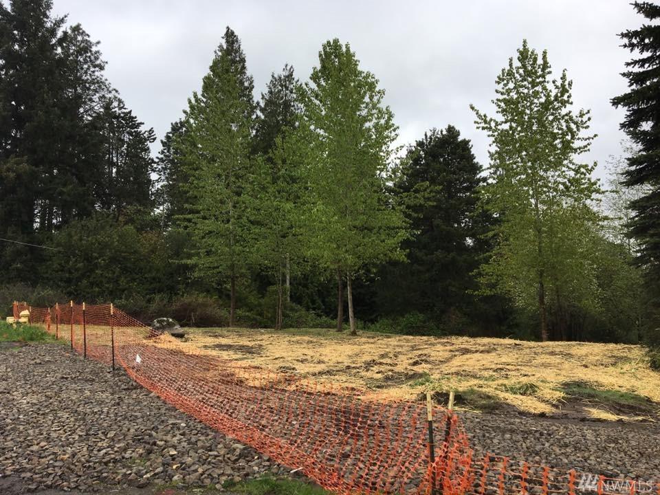 29006 Military Rd - Photo 1