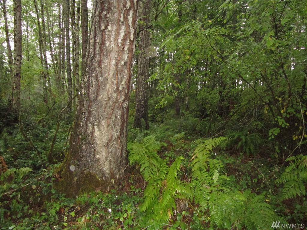2041 Rasor Rd - Photo 1