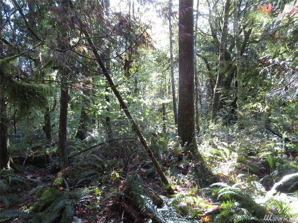 0-XXX Klein Rd - Photo 1