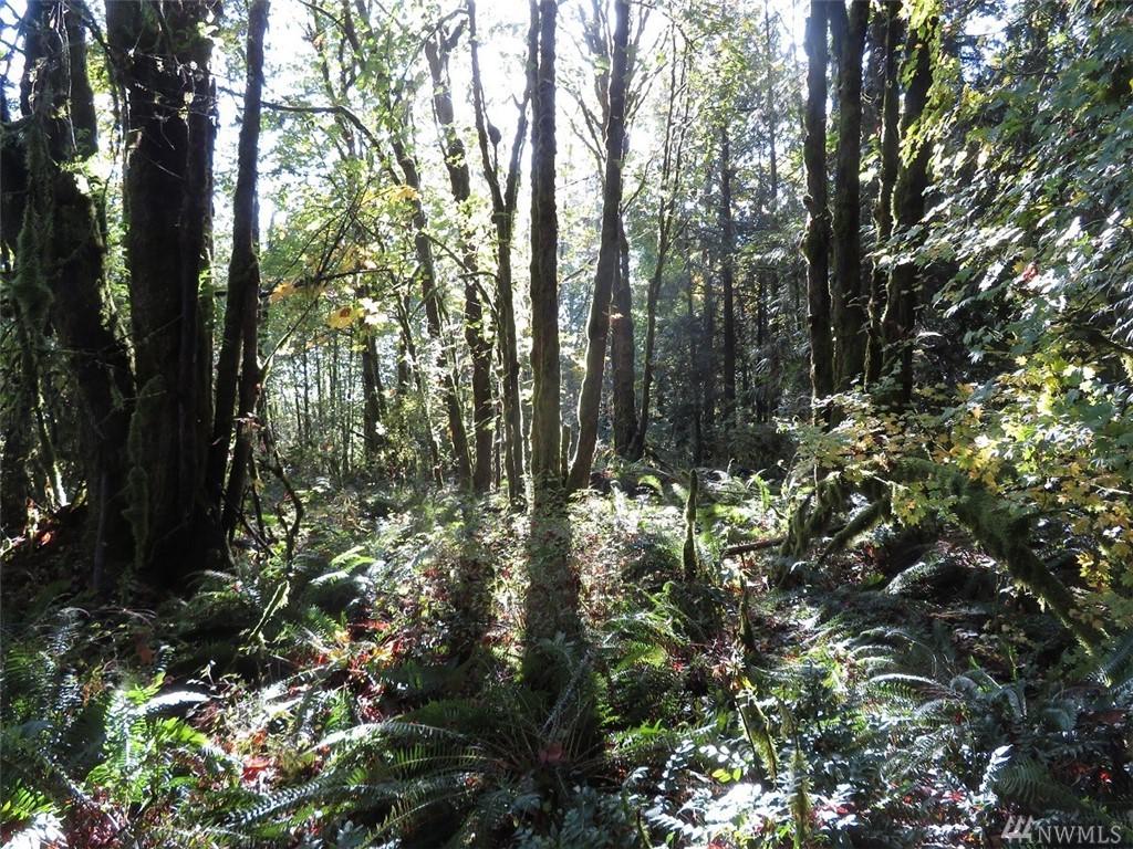 0-XXX Klein Rd - Photo 1