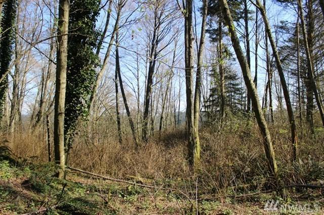 468 Partridge Rd - Photo 1