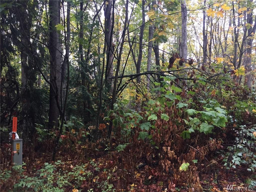 4-X Tulalip Wy - Photo 1