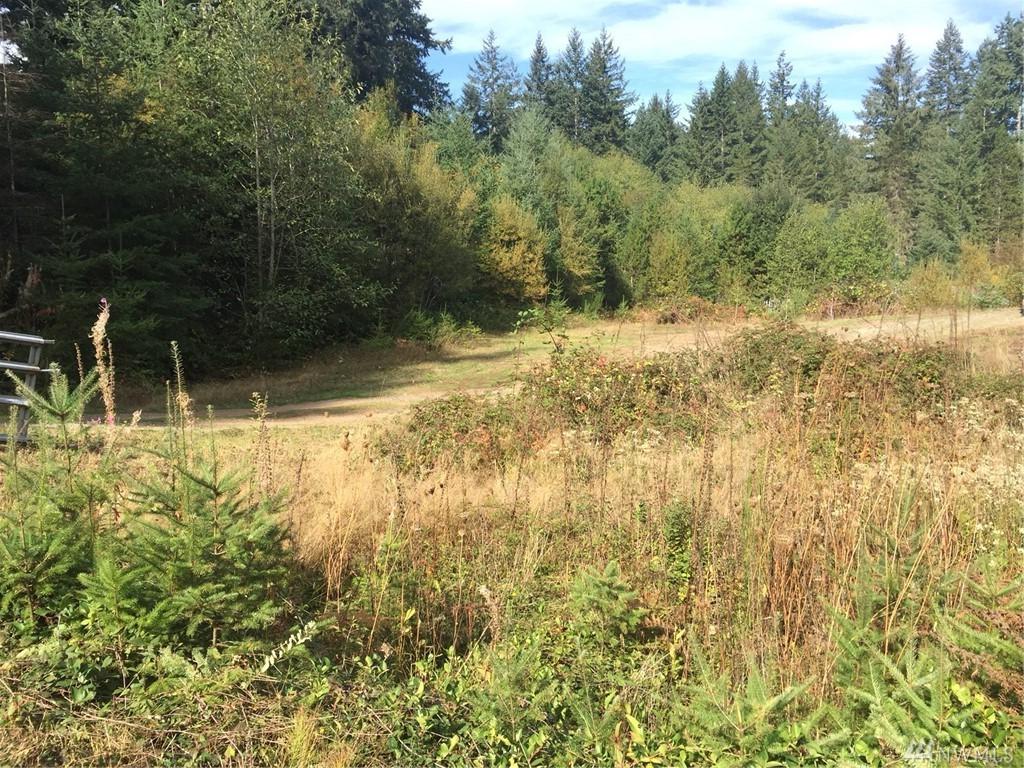 13832 Carney Lake Rd - Photo 1