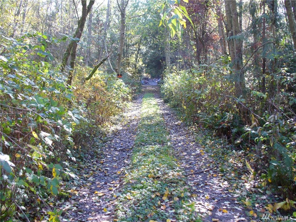 21562 Little Mountain Rd - Photo 1