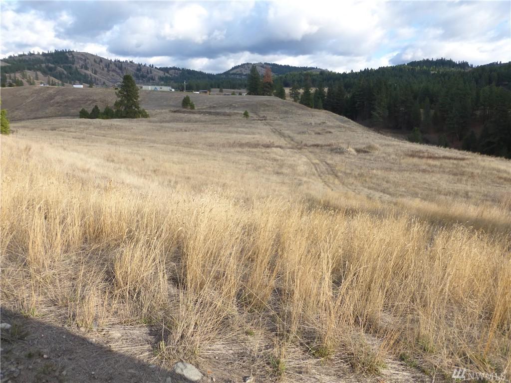 12345 Lone Pine Rd - Photo 1