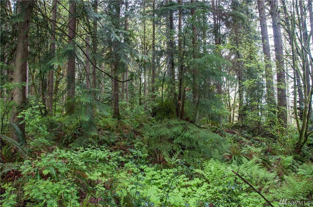 85-XX W. Snoqualmie Valley Rd - Photo 1