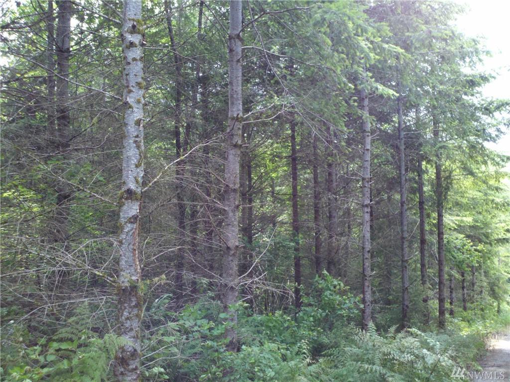 1-XXX Green River Gorge Rd - Photo 1