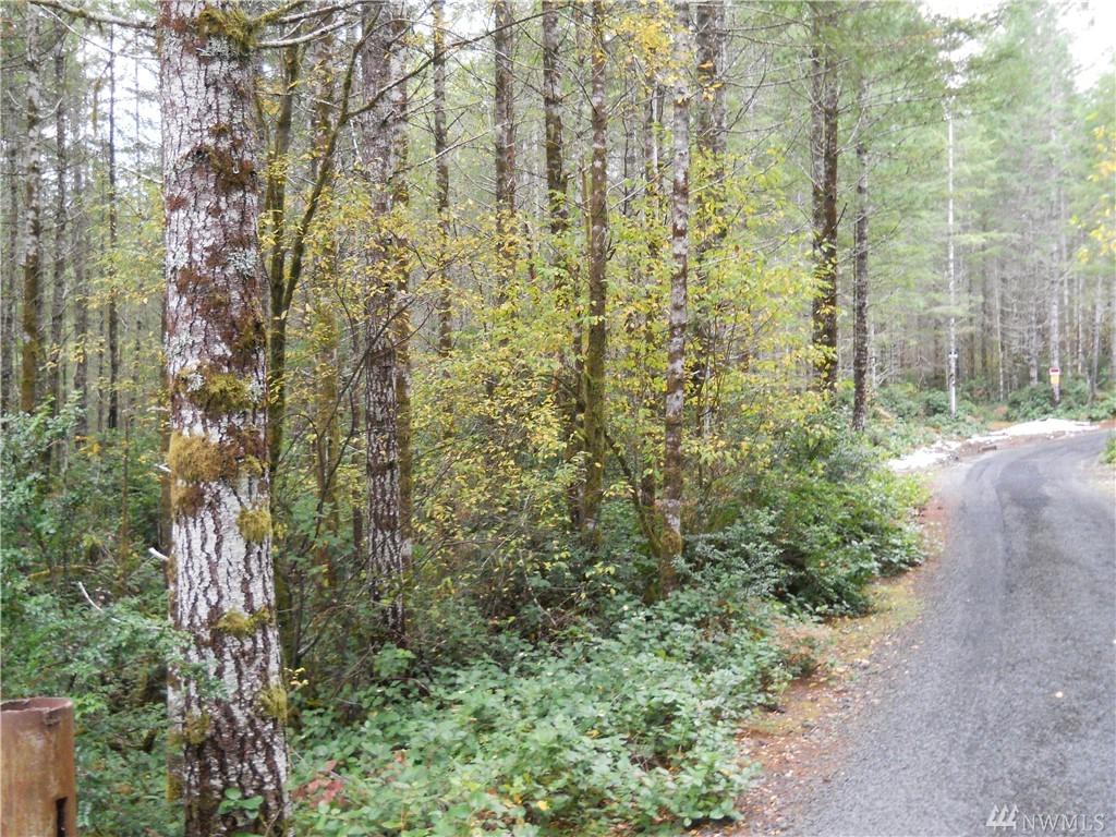 50 Wyatt Lane - Photo 1