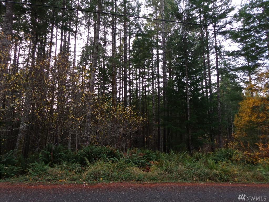 13102 Burchard Dr - Photo 1