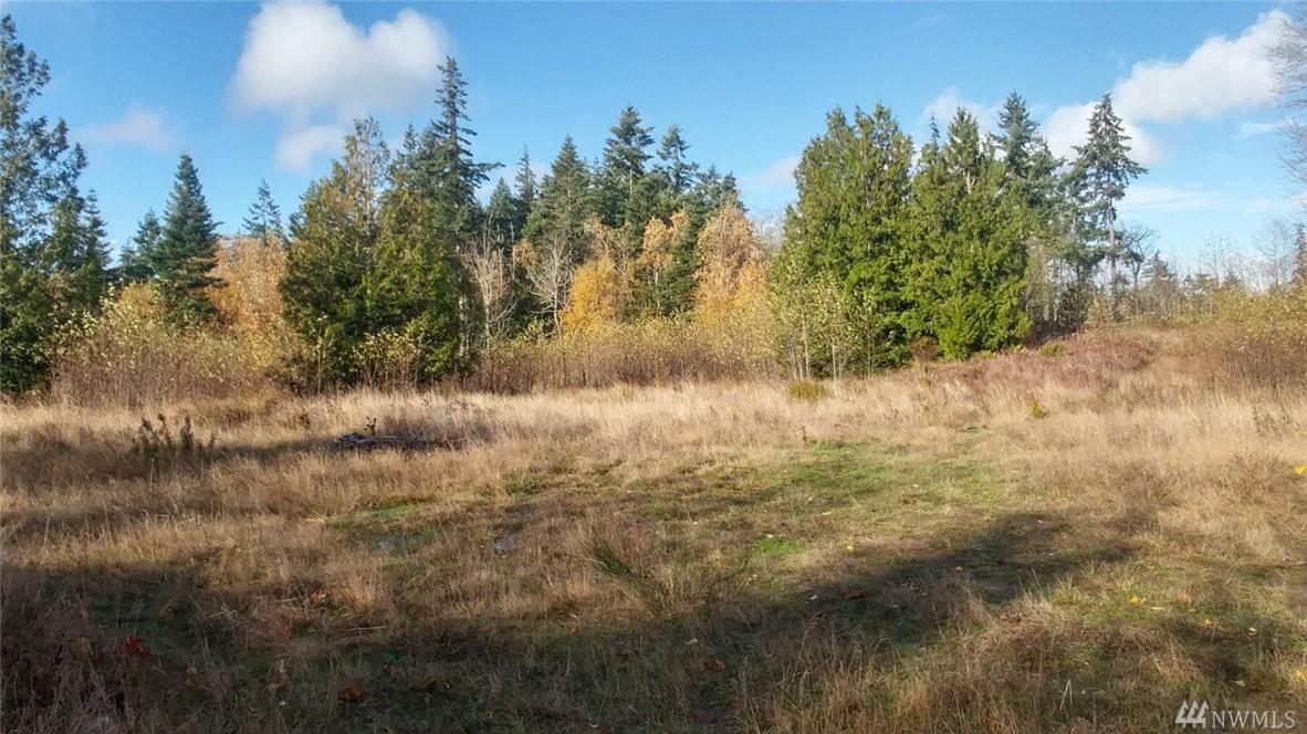 0 White Fir Wy - Photo 1