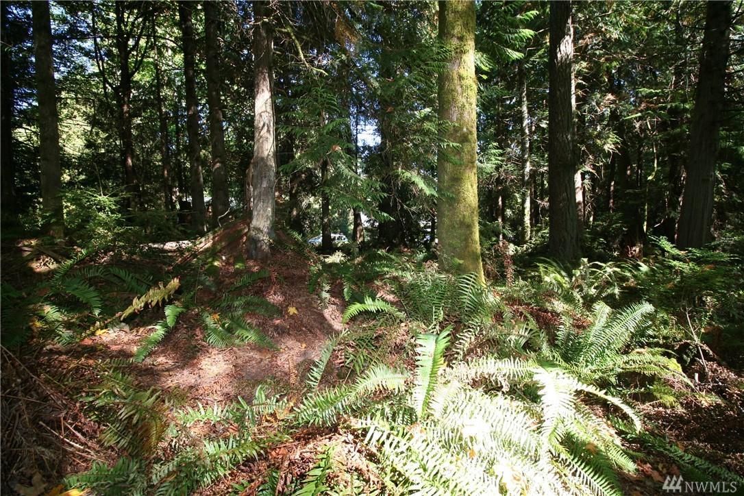 9999-Lot 89 Goliah Lane - Photo 1