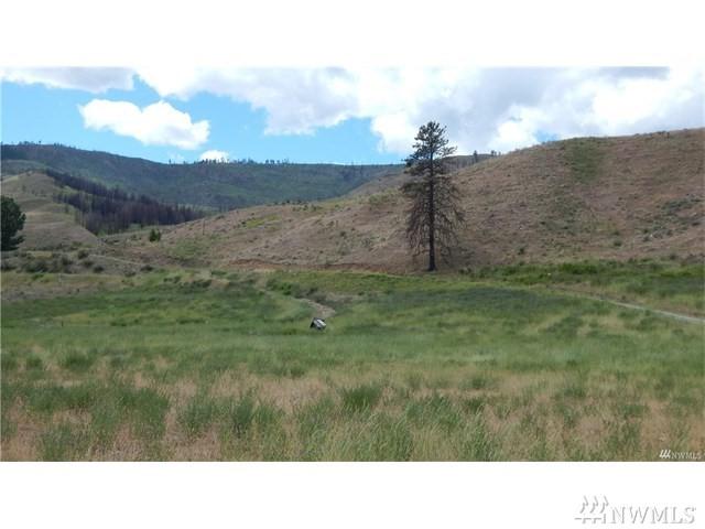 0 Big Pine Rd - Photo 1