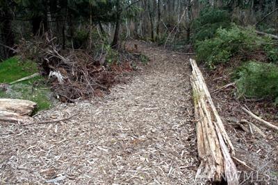 0-Lot 1 Hansville Rd - Photo 1