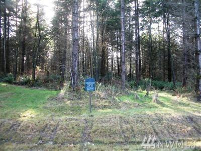 8820 Broughton (Lot 16) - Photo 1